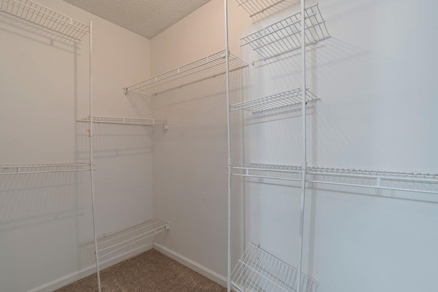 spacious closet featuring carpet floors