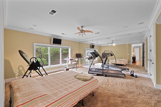 exercise room with crown molding, ceiling fan, and carpet flooring