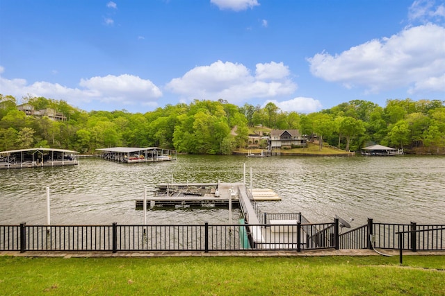 dock area with a water view