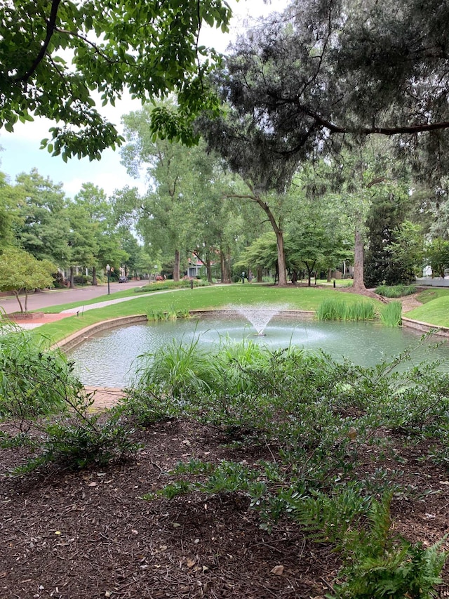 view of community featuring a water view