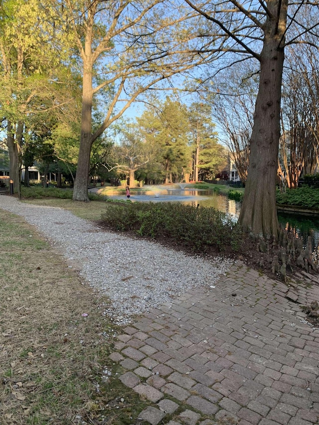 view of property's community with a water view