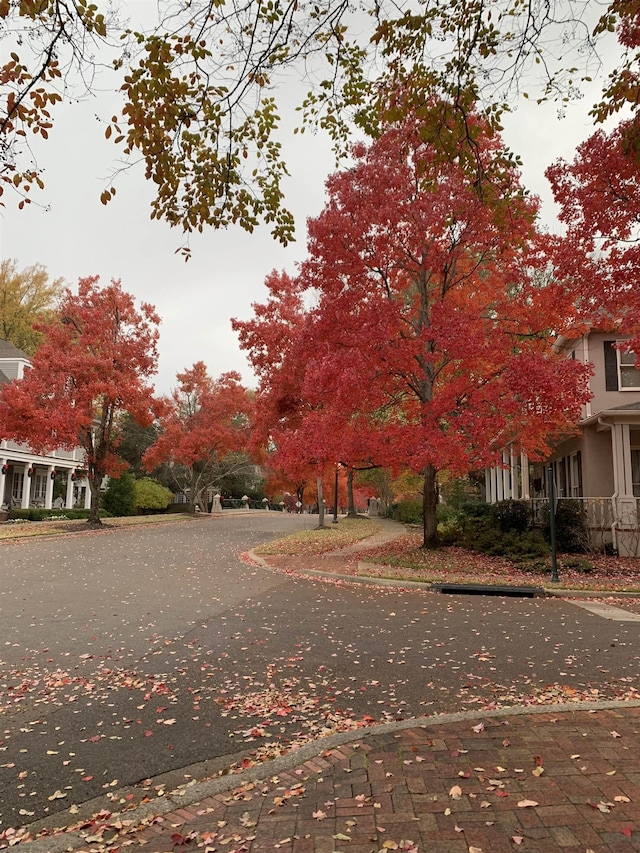 view of street