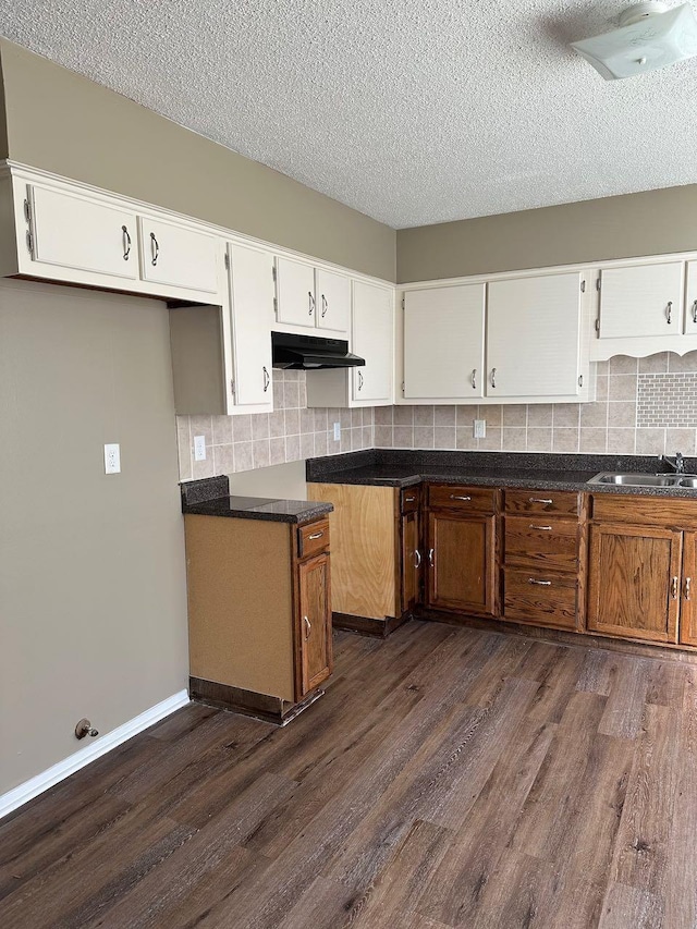 kitchen with white cabinetry, sink, dark wood-type flooring, and backsplash