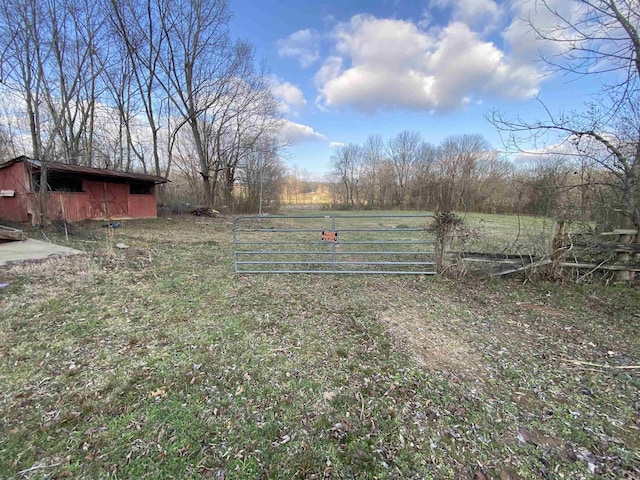 view of yard with a rural view