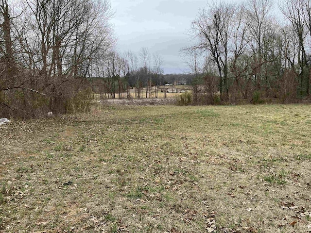 view of yard with a rural view