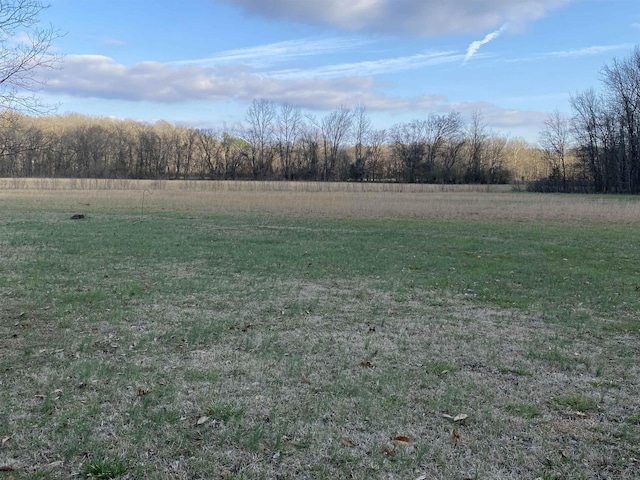 view of yard with a rural view