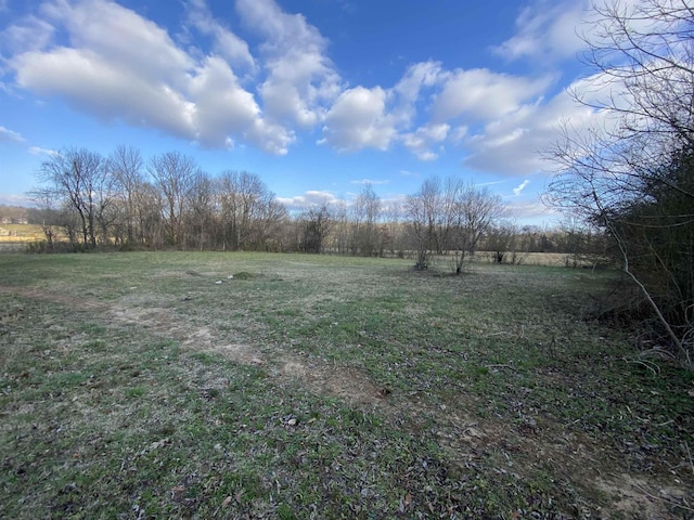 view of yard featuring a rural view