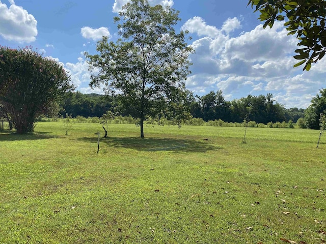 view of yard with a rural view