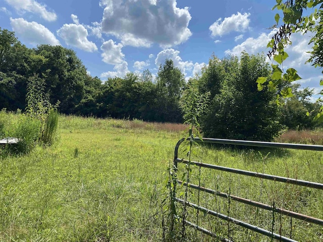 view of yard featuring a rural view