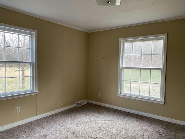 unfurnished room featuring crown molding, a healthy amount of sunlight, and carpet flooring