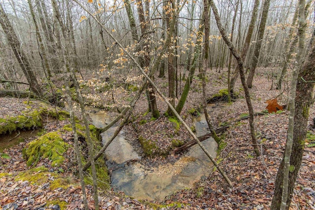 view of local wilderness