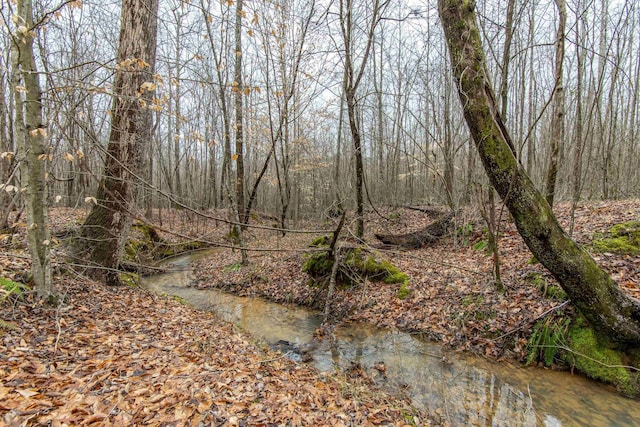 view of nature