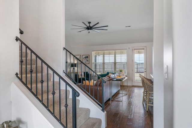 staircase with ceiling fan and hardwood / wood-style floors