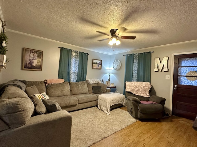 living room featuring crown molding, wood-type flooring, a textured ceiling, and ceiling fan