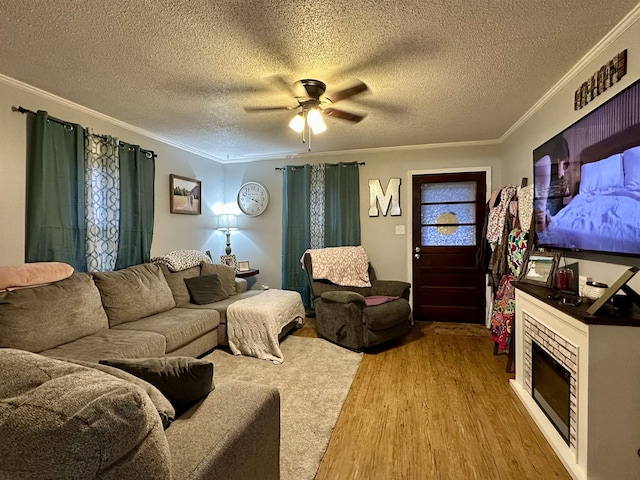 living room with crown molding, a textured ceiling, ceiling fan, and light hardwood / wood-style floors