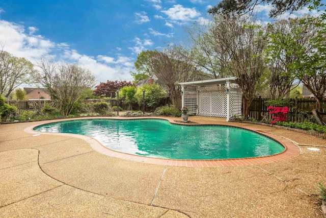 view of swimming pool featuring a patio area, a fenced backyard, and a fenced in pool