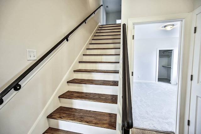 staircase with carpet flooring