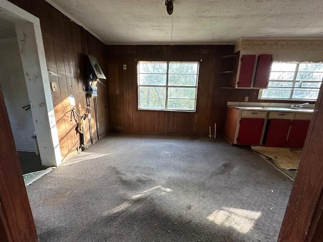 interior space with a textured ceiling and wood walls