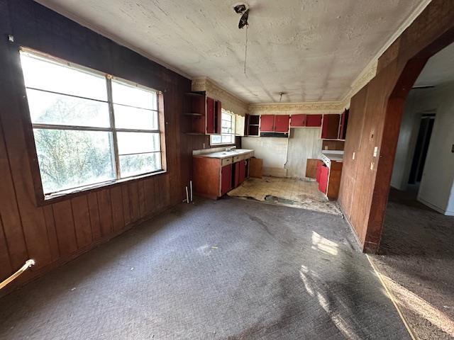 kitchen featuring wooden walls and carpet