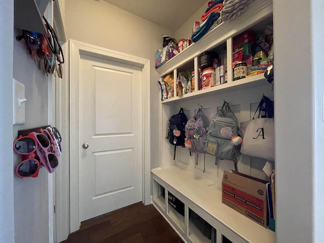 mudroom featuring dark hardwood / wood-style flooring