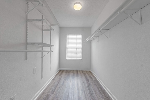 walk in closet featuring light wood finished floors