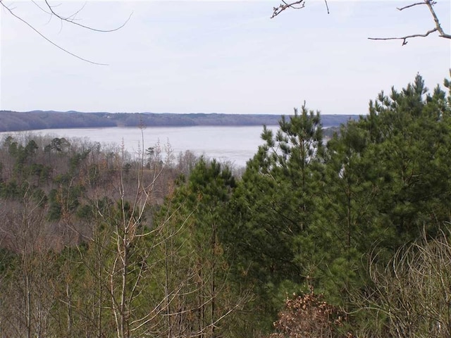 LOT2 Eaglepoint Dr, Cherokee AL, 35616 land for sale