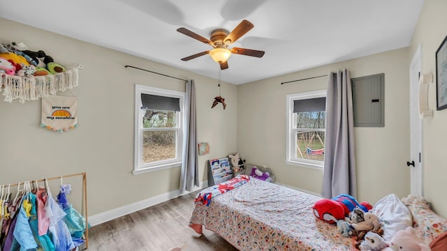 bedroom with electric panel, multiple windows, baseboards, and wood finished floors