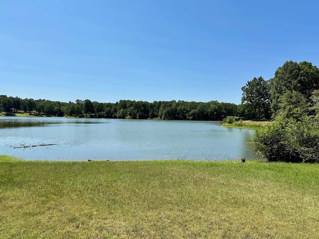 water view with a wooded view