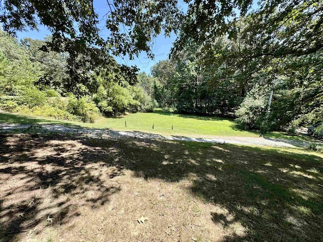 view of yard with a forest view