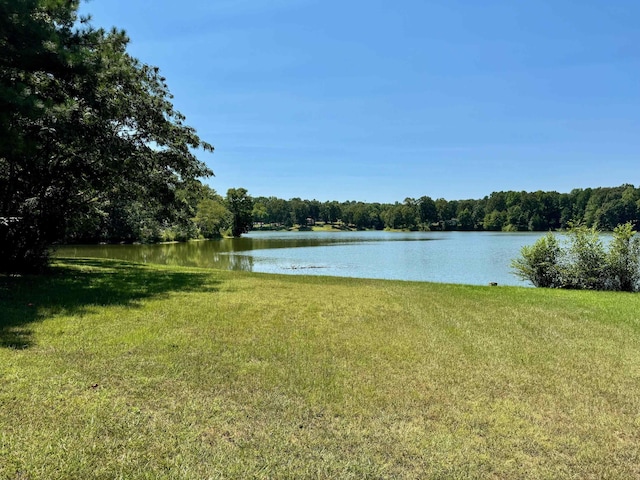 water view with a view of trees