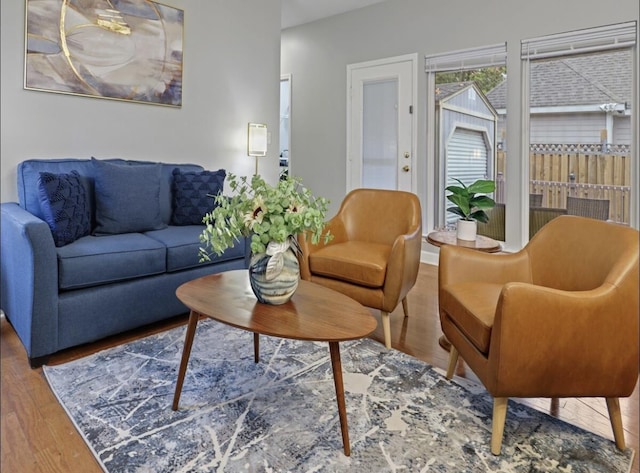 living area featuring wood finished floors