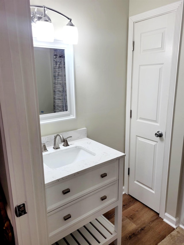 bathroom featuring wood finished floors and vanity