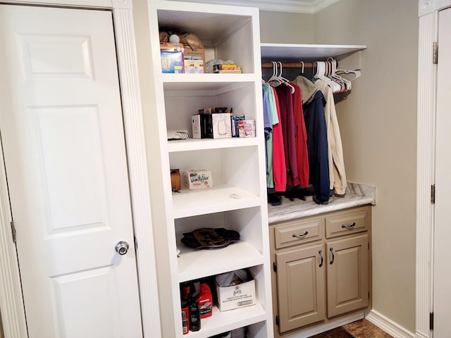 view of closet