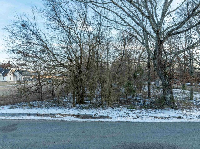 2215 Clay Pond Dr, Oakland, TN 38060