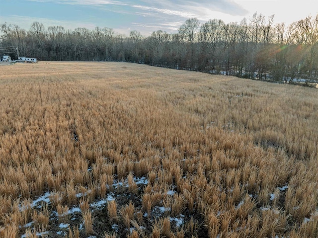 2215 Clay Pond Dr, Oakland, TN 38060