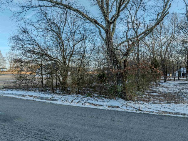 2215 Clay Pond Dr, Oakland, TN 38060