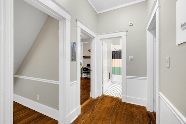 1151 Central Ave, Memphis, TN 38104 - corridor featuring dark wood-style floors, wainscoting, and crown molding