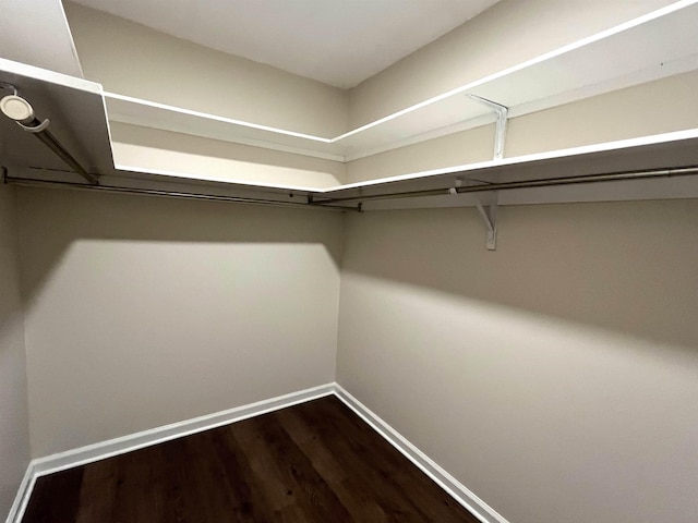 spacious closet with wood finished floors