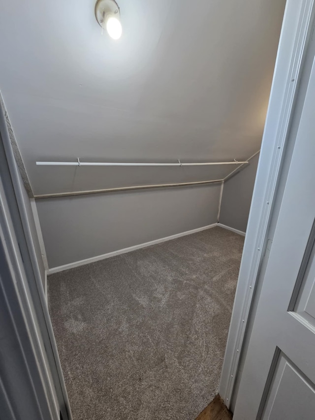 spacious closet featuring dark colored carpet