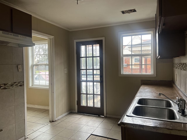 doorway to outside featuring a wealth of natural light, ornamental molding, and a sink