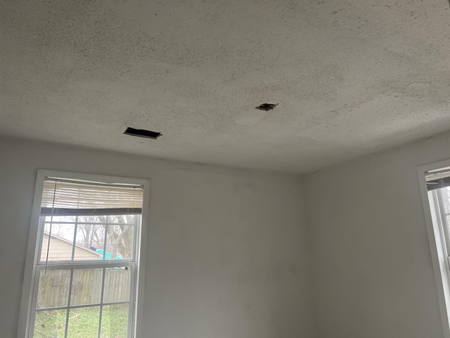 empty room featuring a wealth of natural light and a textured ceiling