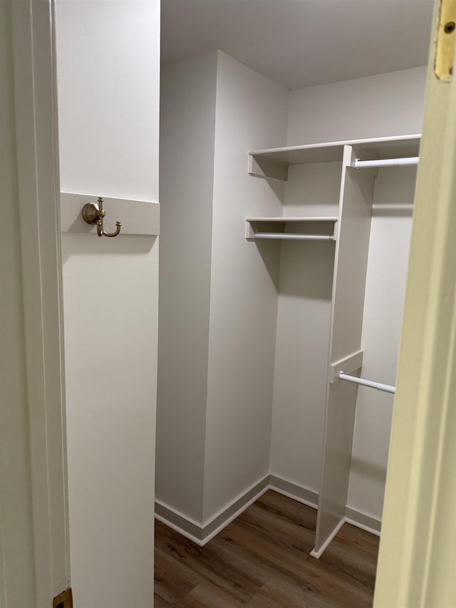 spacious closet featuring dark wood-style flooring