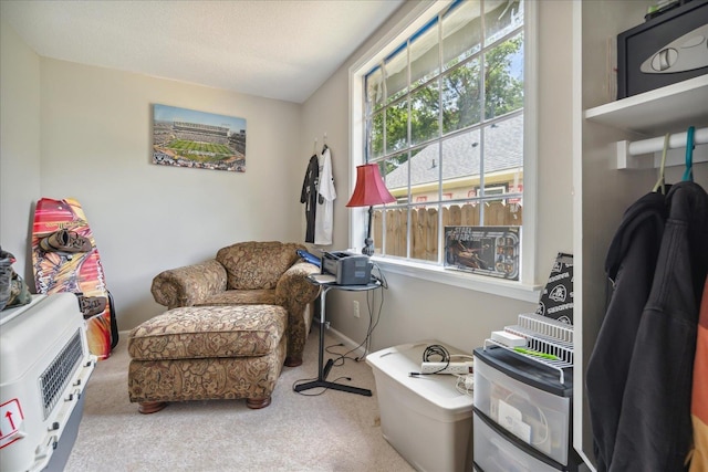 sitting room with carpet floors, heating unit, and a textured ceiling