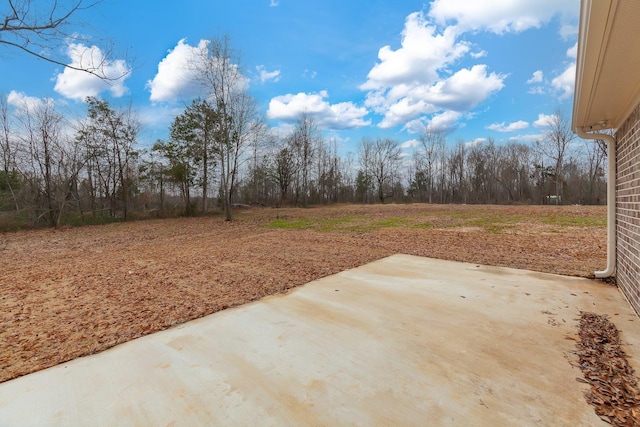 view of yard with a patio area