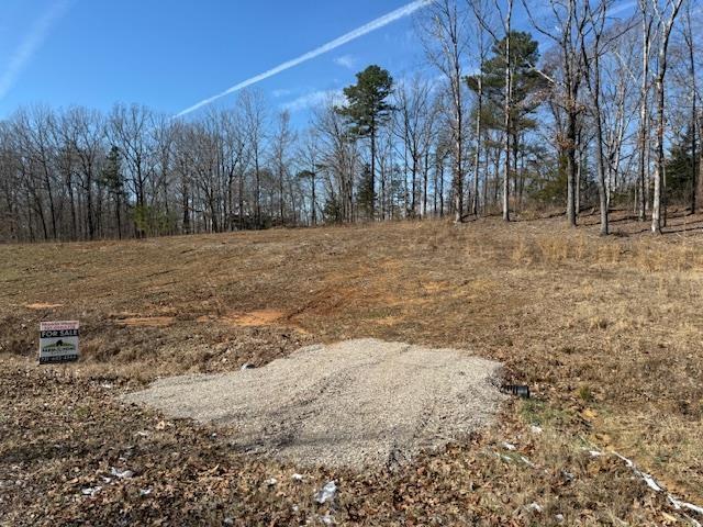 0 Countrywood Dr, Selmer TN, 38375 land for sale