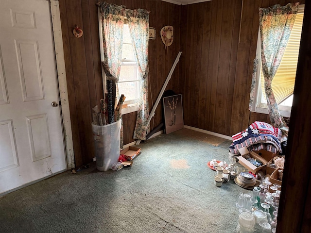 interior space with carpet floors, wood walls, and multiple windows