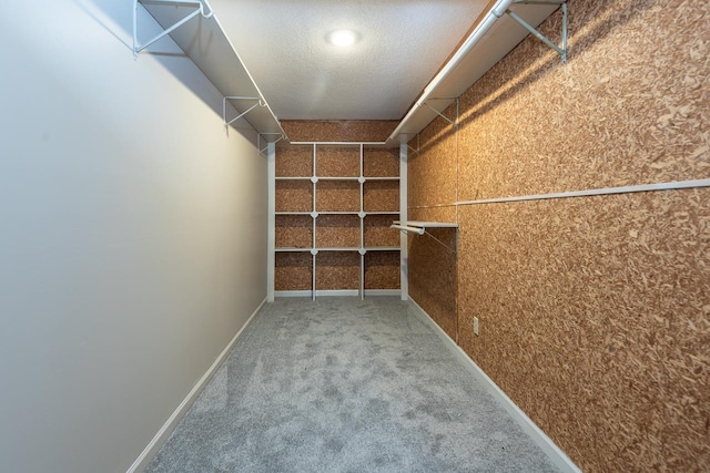 spacious closet with carpet floors