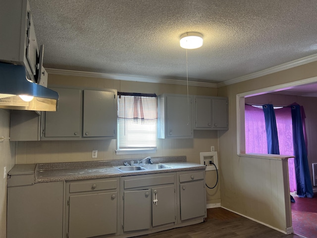 kitchen featuring dark wood-style floors, range hood, crown molding, a sink, and a textured ceiling