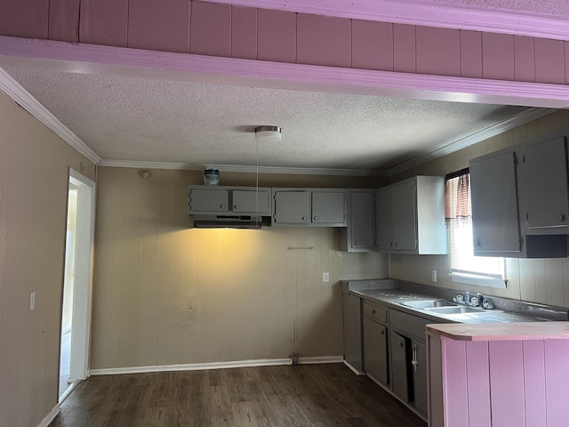 kitchen with gray cabinetry, ornamental molding, dark wood-type flooring, a sink, and a textured ceiling