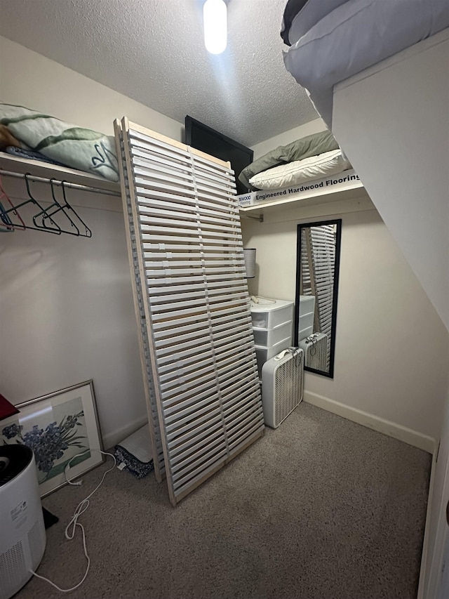 spacious closet with dark colored carpet